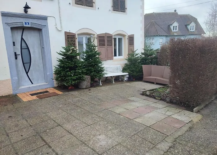 Deplacement Professionnel * Zilling